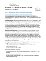 CFA Level 3 2025 Schweser Notes Portfolio Management