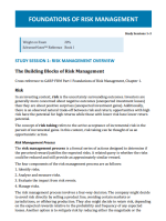 FRM 2025 Schweser Secret Sauce Part 1