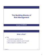 FRM 2025 Schweser Videos Part 1 with Workbook