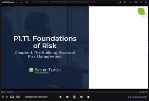 FRM 2026 Part 1 Bionic Turtle Videos